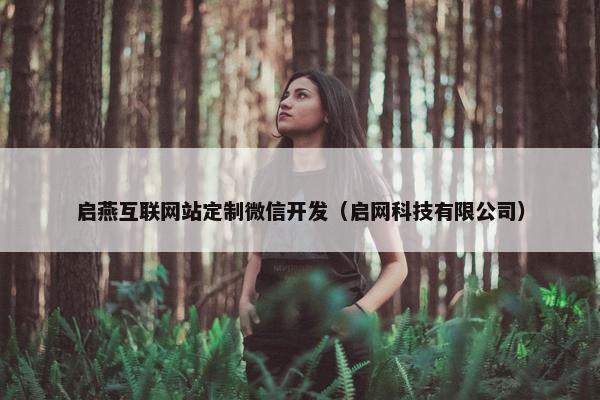 启燕互联网站定制微信开发（启网科技有限公司）