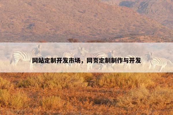 网站定制开发市场，网页定制制作与开发