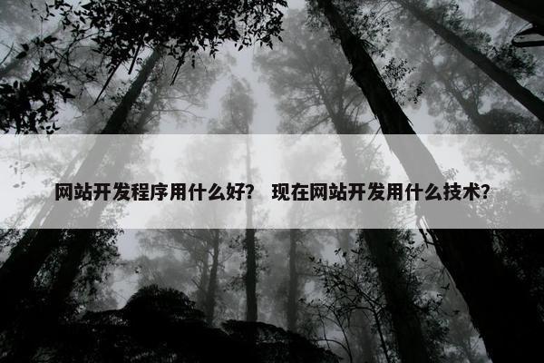 网站开发程序用什么好？ 现在网站开发用什么技术？