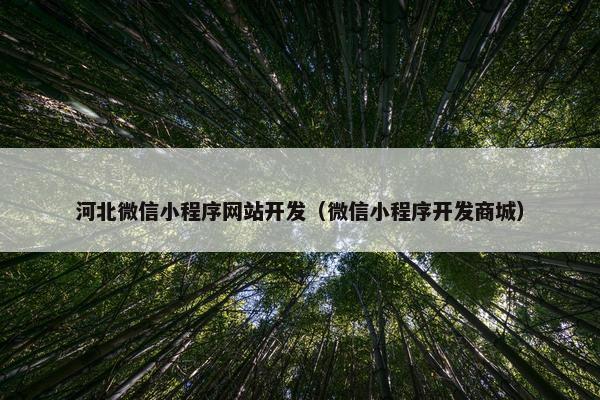 河北微信小程序网站开发（微信小程序开发商城）