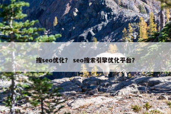 搜seo优化？ seo搜索引擎优化平台？