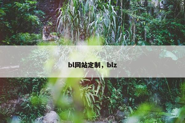bl网站定制，blz
