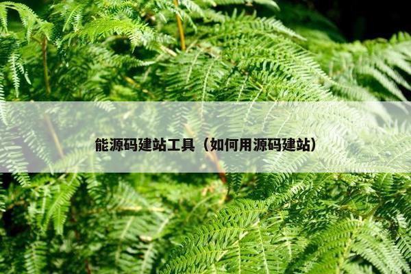 能源码建站工具（如何用源码建站）