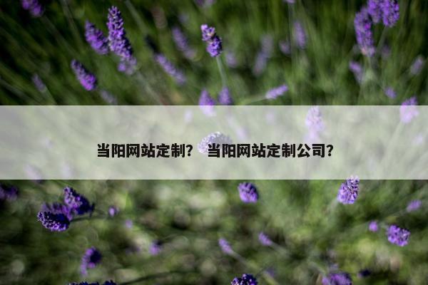 当阳网站定制？ 当阳网站定制公司？