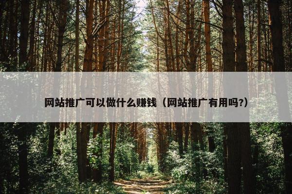网站推广可以做什么赚钱（网站推广有用吗?）