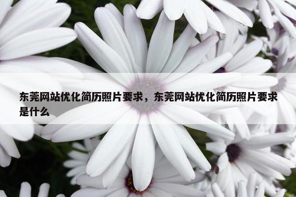 东莞网站优化简历照片要求，东莞网站优化简历照片要求是什么