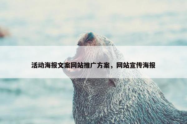 活动海报文案网站推广方案，网站宣传海报