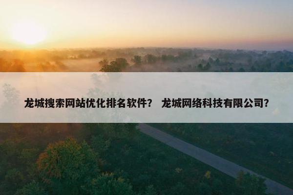 龙城搜索网站优化排名软件？ 龙城网络科技有限公司？