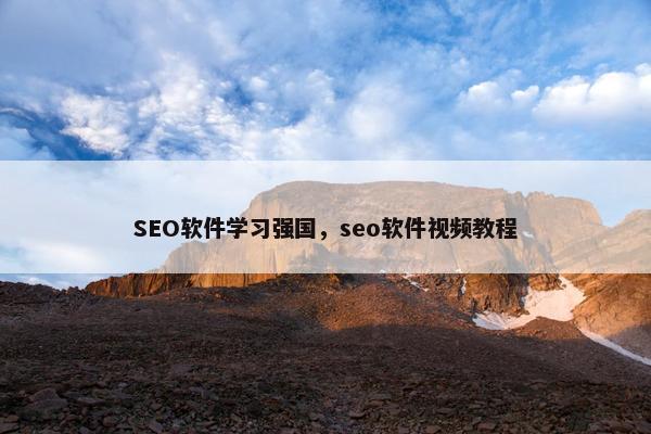 SEO软件学习强国，seo软件视频教程