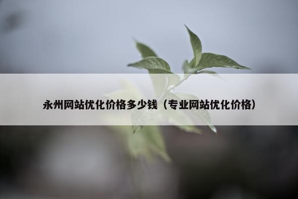 永州网站优化价格多少钱（专业网站优化价格）