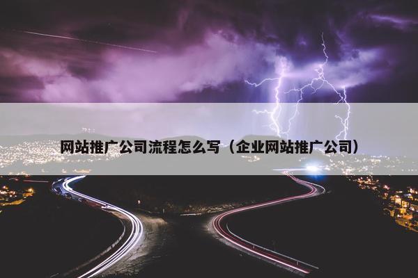 网站推广公司流程怎么写（企业网站推广公司）
