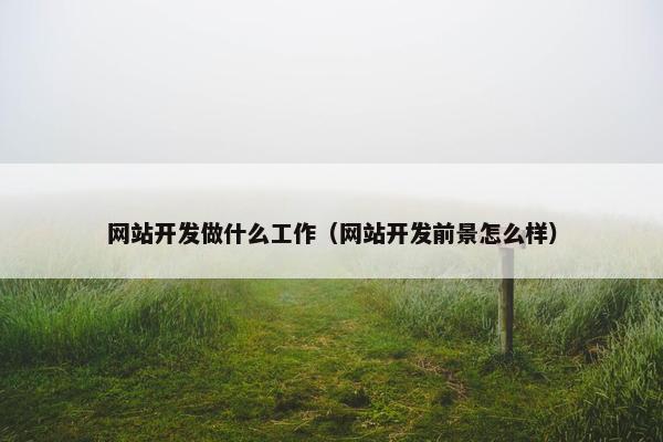 网站开发做什么工作（网站开发前景怎么样）