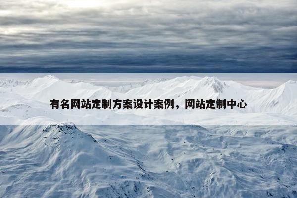 有名网站定制方案设计案例，网站定制中心