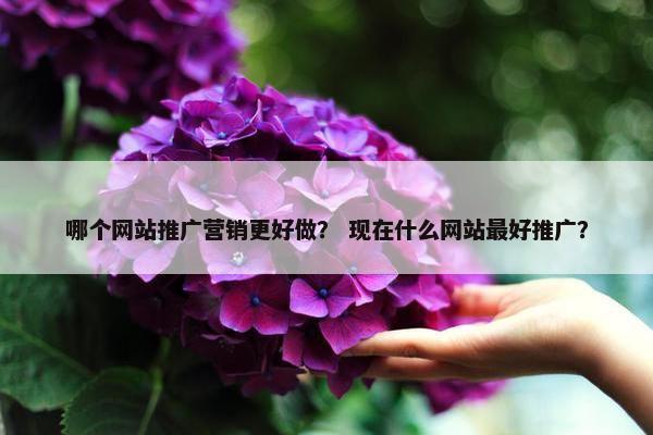 哪个网站推广营销更好做？ 现在什么网站最好推广？