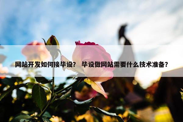 网站开发如何接毕设？ 毕设做网站需要什么技术准备？