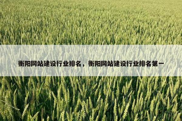 衡阳网站建设行业排名，衡阳网站建设行业排名第一