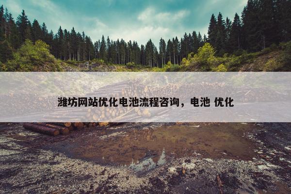 潍坊网站优化电池流程咨询,电池 优化 潍坊网站优化电池流程咨询,电池 优化