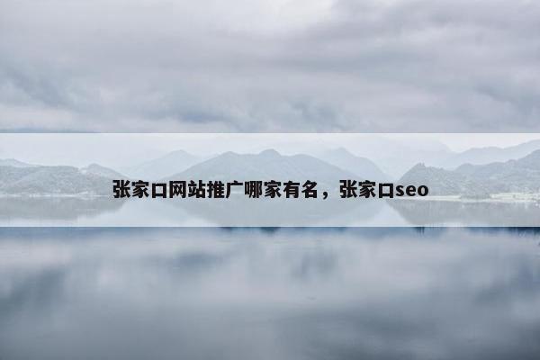 张家口网站推广哪家有名，张家口seo