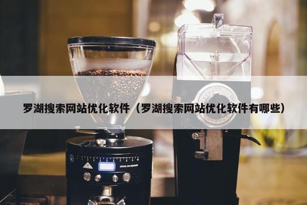 罗湖搜索网站优化软件（罗湖搜索网站优化软件有哪些）