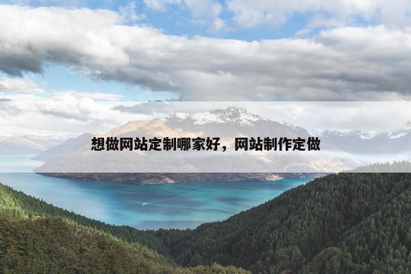 想做网站定制哪家好，网站制作定做