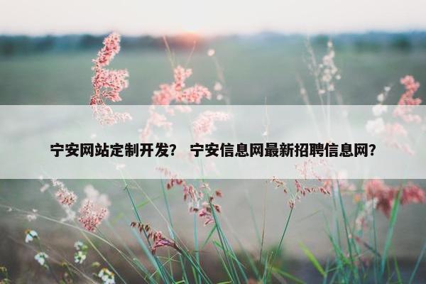 宁安网站定制开发？ 宁安信息网最新招聘信息网？