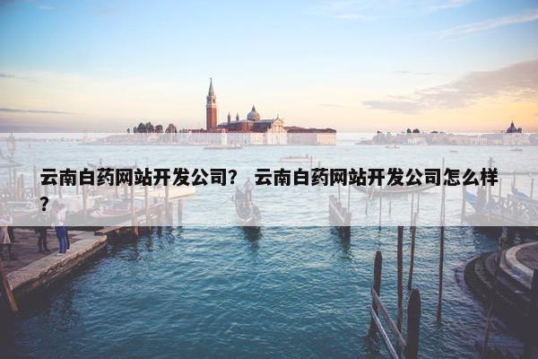 云南白药网站开发公司？ 云南白药网站开发公司怎么样？