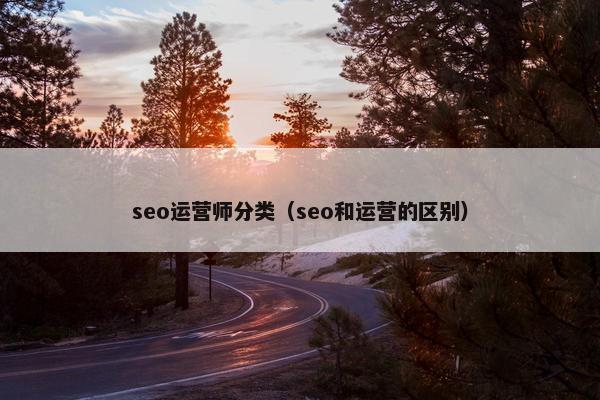 seo运营师分类（seo和运营的区别）