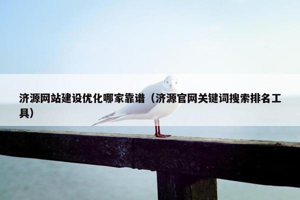 济源网站建设优化哪家靠谱（济源官网关键词搜索排名工具）
