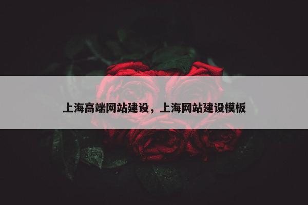 上海高端网站建设，上海网站建设模板