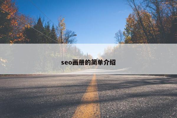 seo画册的简单介绍