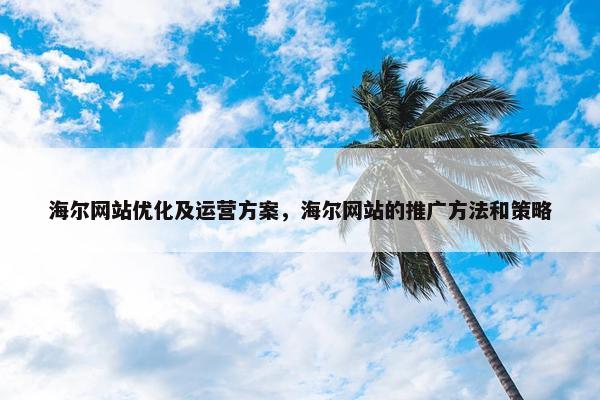 海尔网站优化及运营方案，海尔网站的推广方法和策略