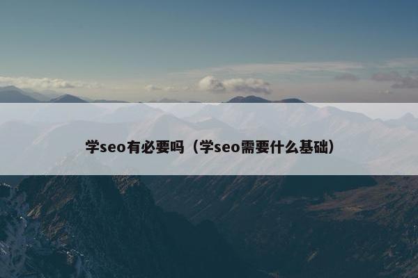 学seo有必要吗（学seo需要什么基础）