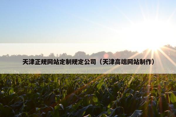 天津正规网站定制规定公司（天津高端网站制作）