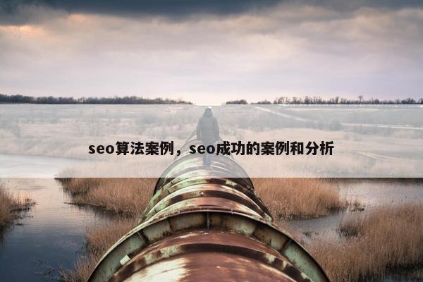 seo算法案例，seo成功的案例和分析