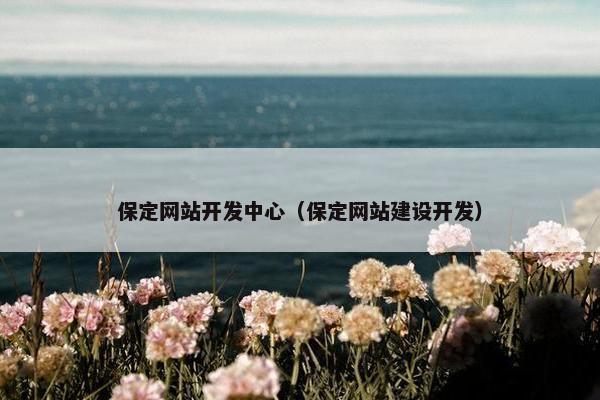 保定网站开发中心(保定网站建设开发) 保定网站开发中心(保定网站建设开发)