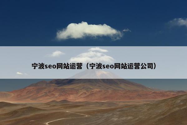 宁波seo网站运营（宁波seo网站运营公司）