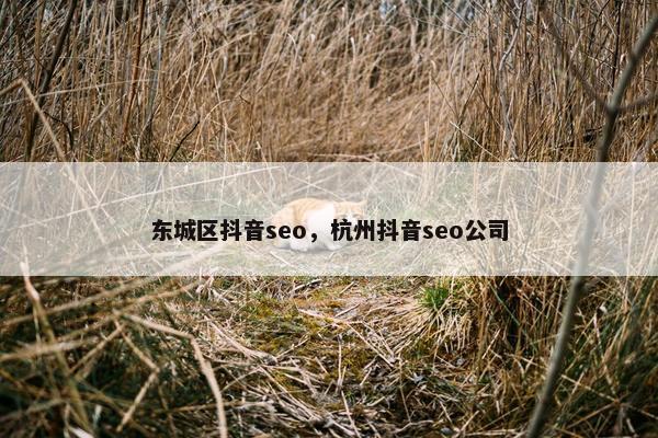 东城区抖音seo，杭州抖音seo公司