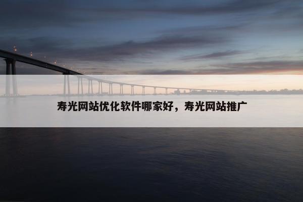 寿光网站优化软件哪家好，寿光网站推广