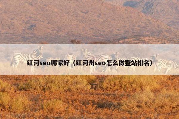 红河seo哪家好（红河州seo怎么做整站排名）