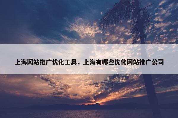 上海网站推广优化工具，上海有哪些优化网站推广公司
