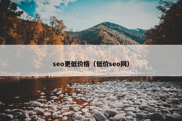 seo更低价格（低价seo网）