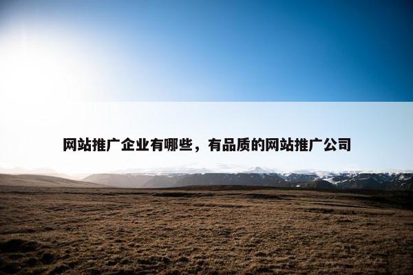 网站推广企业有哪些，有品质的网站推广公司