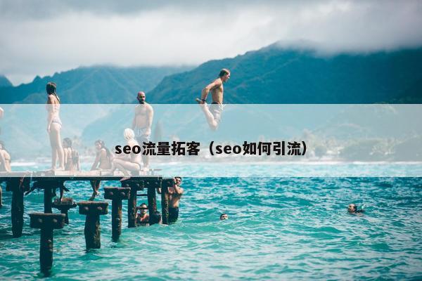 seo流量拓客（seo如何引流）