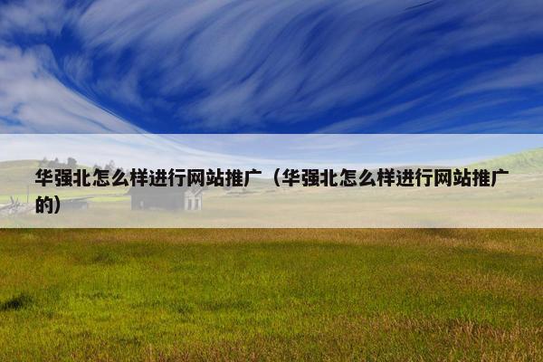 华强北怎么样进行网站推广（华强北怎么样进行网站推广的）