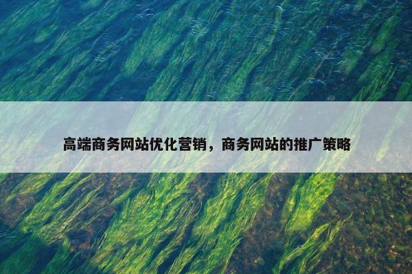 高端商务网站优化营销，商务网站的推广策略