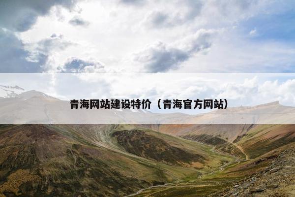 青海网站建设特价（青海官方网站）