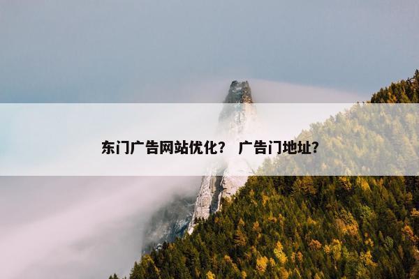 东门广告网站优化？ 广告门地址？