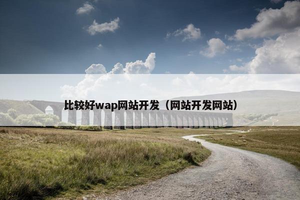 比较好wap网站开发（网站开发网站）