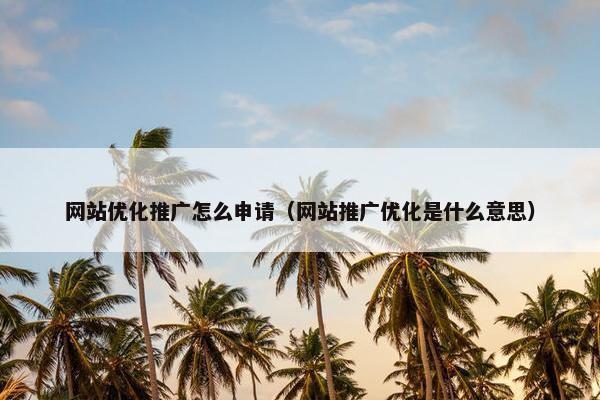 网站优化推广怎么申请（网站推广优化是什么意思）