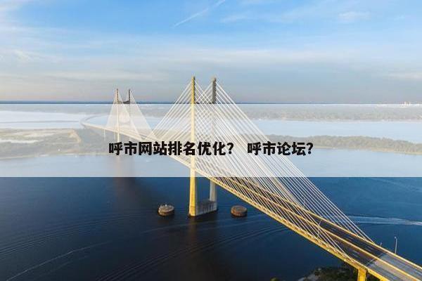 呼市网站排名优化？ 呼市论坛？